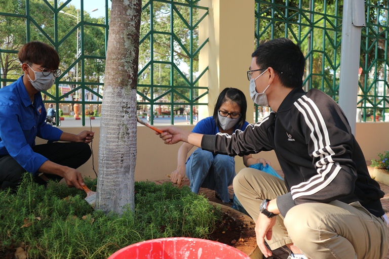 Chi đoàn Thanh niên Văn phòng HĐND và UBND tỉnh tham gia hưởng ứng Phong trào Ngày Chủ nhật xanh